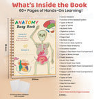 Human Anatomy Busy Book