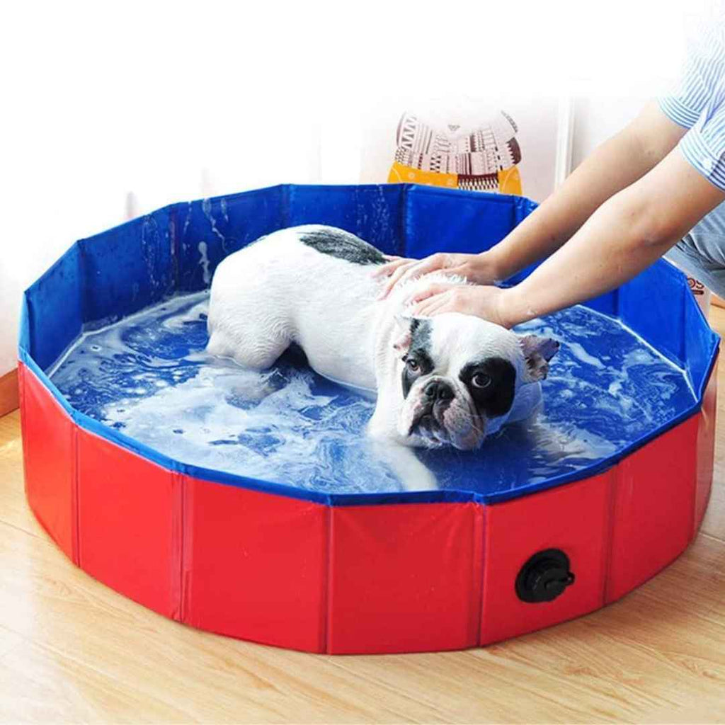 Multi Use Foldable Pool for Pet and Kids