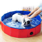 Multi Use Foldable Pool for Pet and Kids