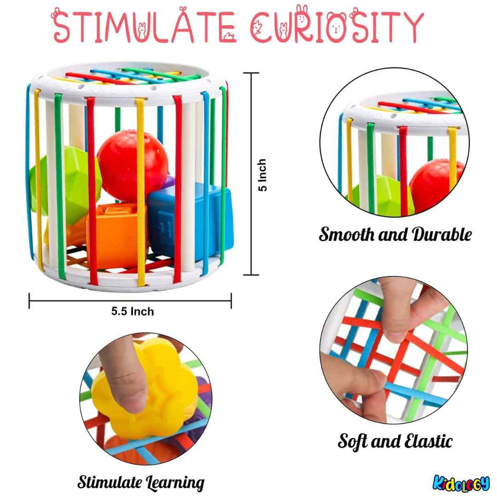 Shape Sorter: Fun Learn
