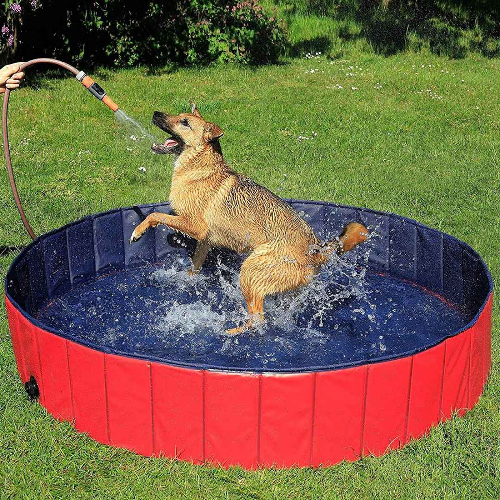 Multi Use Foldable Pool for Pet and Kids