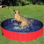 Multi Use Foldable Pool for Pet and Kids