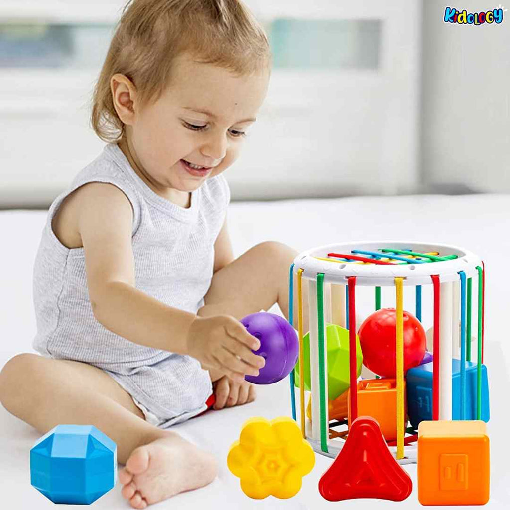 Shape Sorter: Fun Learn