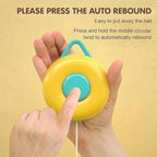 Round Hook Hanging Tennis