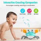 Dancing Musical Crawling Crab Baby Toy