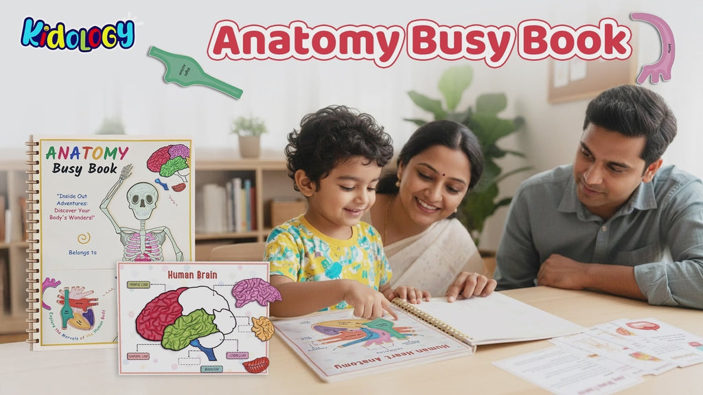 Human Anatomy Busy Book