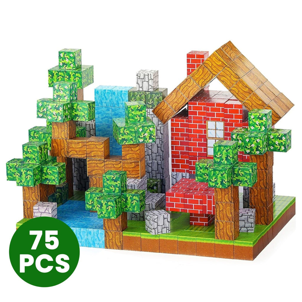 Magnetic Creative Builder Blocks (75 Cubes)