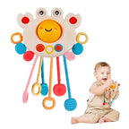 Crab Shaped Pull String Toy