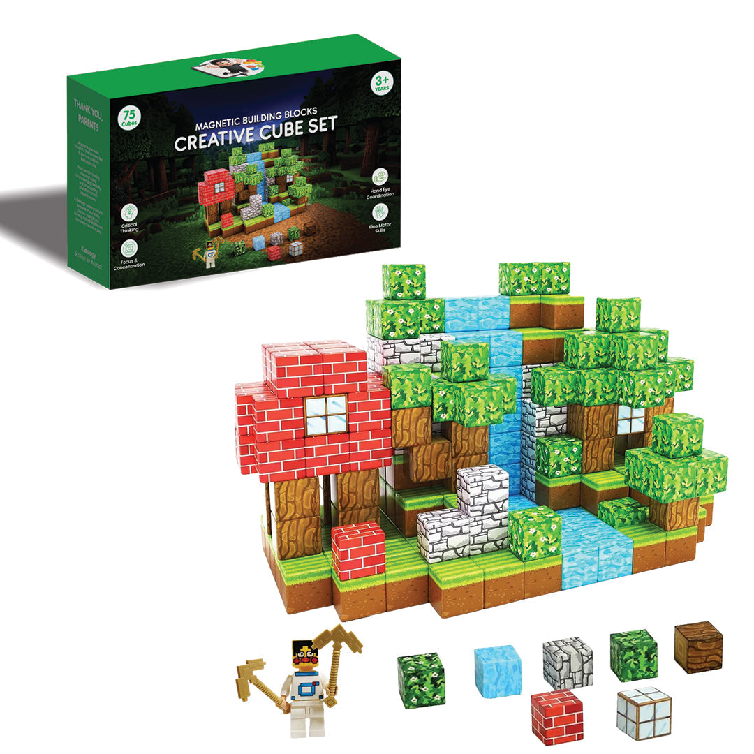 Magnetic Creative Builder Blocks
