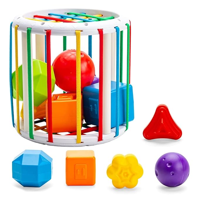 Shape Sorter: Fun Learn