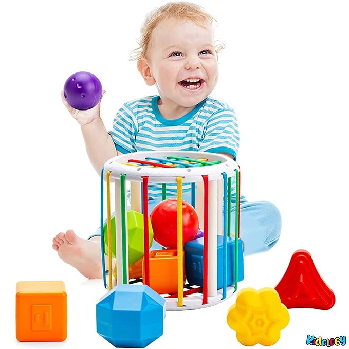 Shape Sorter: Fun Learn