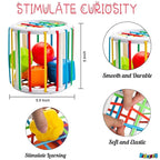 Shape Sorter: Fun Learn