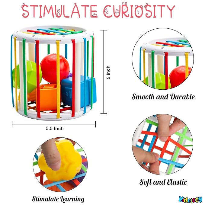 Shape Sorter: Fun Learn