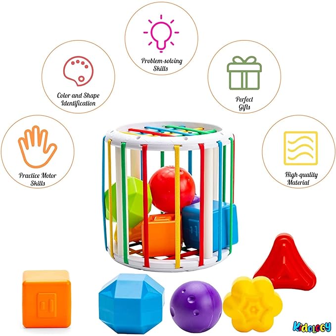 Shape Sorter: Fun Learn
